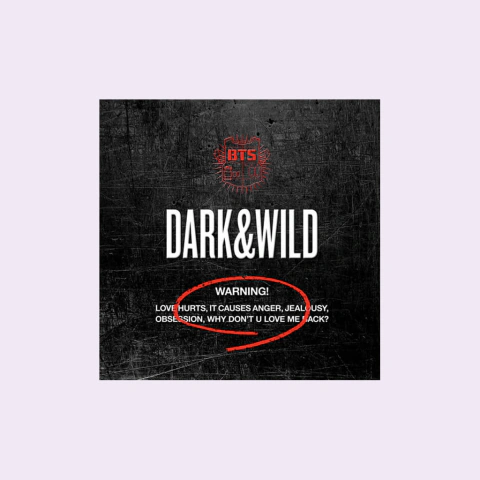 BTS - 1st Full Album Dark & Wild