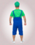 Fantasia Luigi Adulto - comprar online