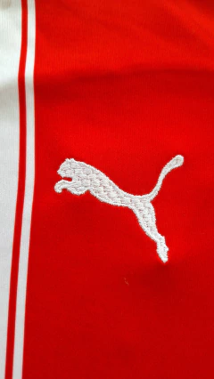 Camiseta Paraguay titular en internet