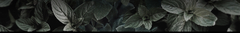 Banner de la categoría AROMÁTICA