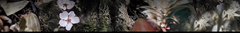 Banner de la categoría CHIPRE