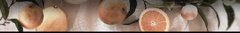 Banner de la categoría CÍTRICA