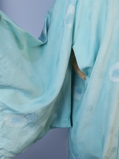 Kimono Morio na internet