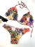 Biquíni Feminino de Poliamida Estampado Talia Ref. 562 na internet