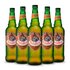 Pack X 6 Botellas 330cc - Trigo