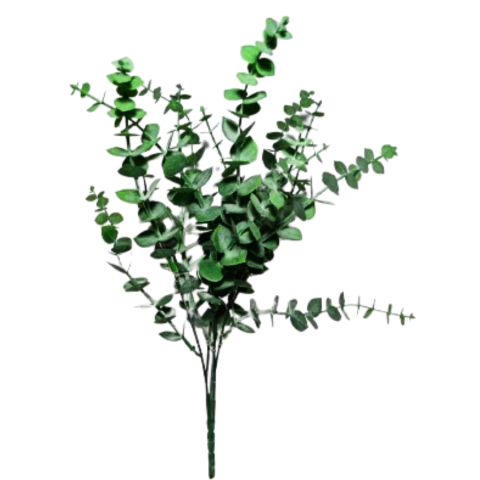 Buque Folhagem Mini Eucalipto