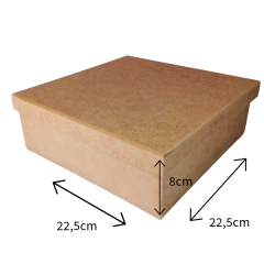 Caixa Mini Vinho ou Mini Champanhe Tripla Tampa Sapato na internet