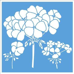 Stencil STXX na internet