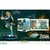 Figure The Legend Of Zelda: Breath Of The Wild - Link- Collector's Edition