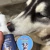 Imagem do 2 Mousse Limpa Patinhas + Balm