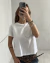 Remera Ashton en internet