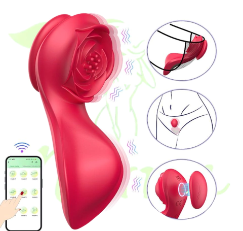 VIBRADOR DE CALCINHA - PARATY - Á LONGA DISTÂNCIA - APP