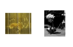 FANZINE "Imágenes de lo Invisible" - comprar online