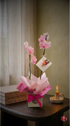 Orquídea Essência Serena + Lenço Versátil - comprar online