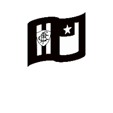 Movimento Ninguém Ama Como a Gente