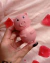 Vibrador Sugador Recarregável Pigg