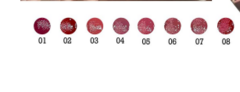 BO-012 Brilho Labial Velvet Bobbi Rara BOX C/24PÇS - comprar online