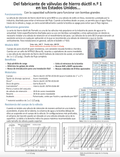 Válvula Check Sumergible Para Columna Flomatic 4 Pulgadas on internet