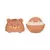 Lip Balm Lovely Bear - SP Colors - GIIS BEAUTY