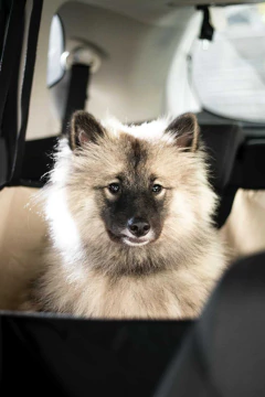 Capa Pet Protetora para banco do carro Bege Mescla Lisato. - comprar online