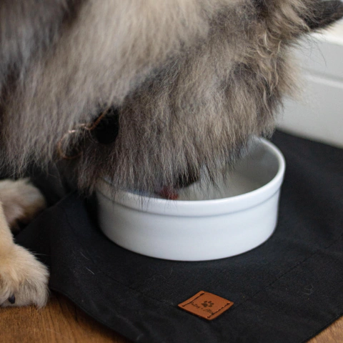 Jogo Americano Pet Impermeável Tapete Retangular Premium. - comprar online