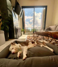 Cama Pet Impermeável Classic Linho Grafite Home Decor