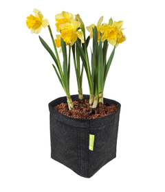 Vaso de feltro PROPOT GARDEN HIGHPRO na internet