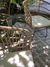 Set Sillon Bali