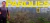 Imagem do banner rotativo Loja Cavallini