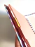 Planner Desejos - loja online
