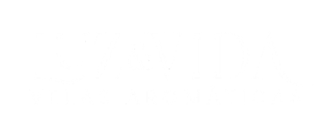 Luz e Vida Velas Aromáticas