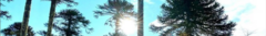 Banner de la categoría Mates sin diseños