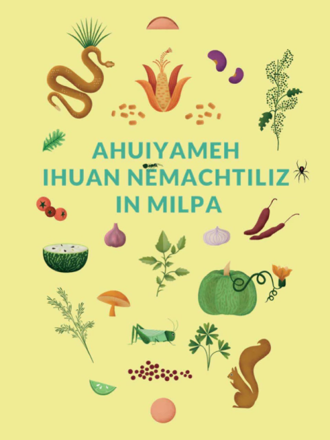 Ahuiyameh ihuan nemachtiliz in milpa - vv.aa - comprar en línea
