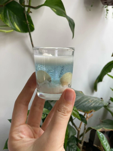 Mini vela praia - comprar online