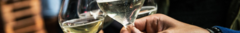 Banner da categoria BRANCO