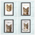 Quadro Pet Personalizado Individual 1 - Quadro Novo na internet