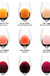 Quadro Tabela de Cores de Vinhos - Quadro Novo - loja online