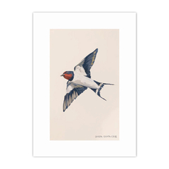 Animalis Aves 1