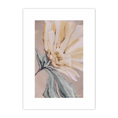 Floralia Senillosa 2