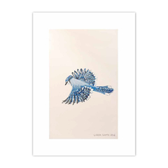 Animalis Aves 5