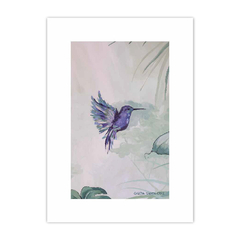 Animalis Aves 3