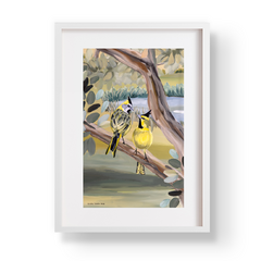 Animalis Cardenal Amarillo - comprar online