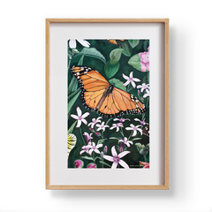 Mariposas en floralia 1 en internet