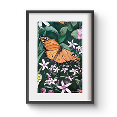 Mariposas en floralia 1 - Guada Santa Cruz