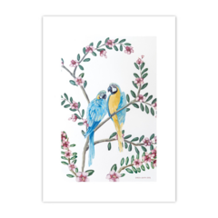 Animalis Irene Loros