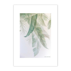 Botanical Hojas Verdes 3