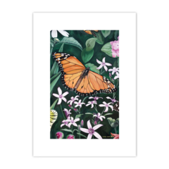 Mariposas en floralia 1