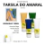 KIT TARSILA DO AMARAL - Grandes Mestres Paris - comprar online