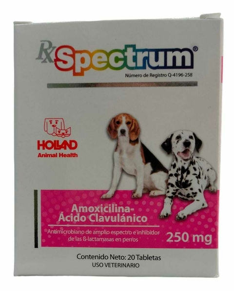 R/X SPECTRUM AMOXICILINA/ÁCIDO CLAVULÁNICO 250 MG