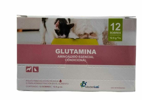 GLUTAMINA aminoácido esencial condicional